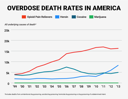The graph above shows the increase in opioid pain relievers (such as fentanyl) and heroin overdoses that resulted in deaths in recent history. Image courtesy businessinsider.com