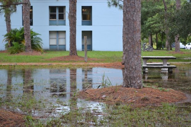 Hurricane Hermine breaks Florida’s 11 year hurricane-free streak