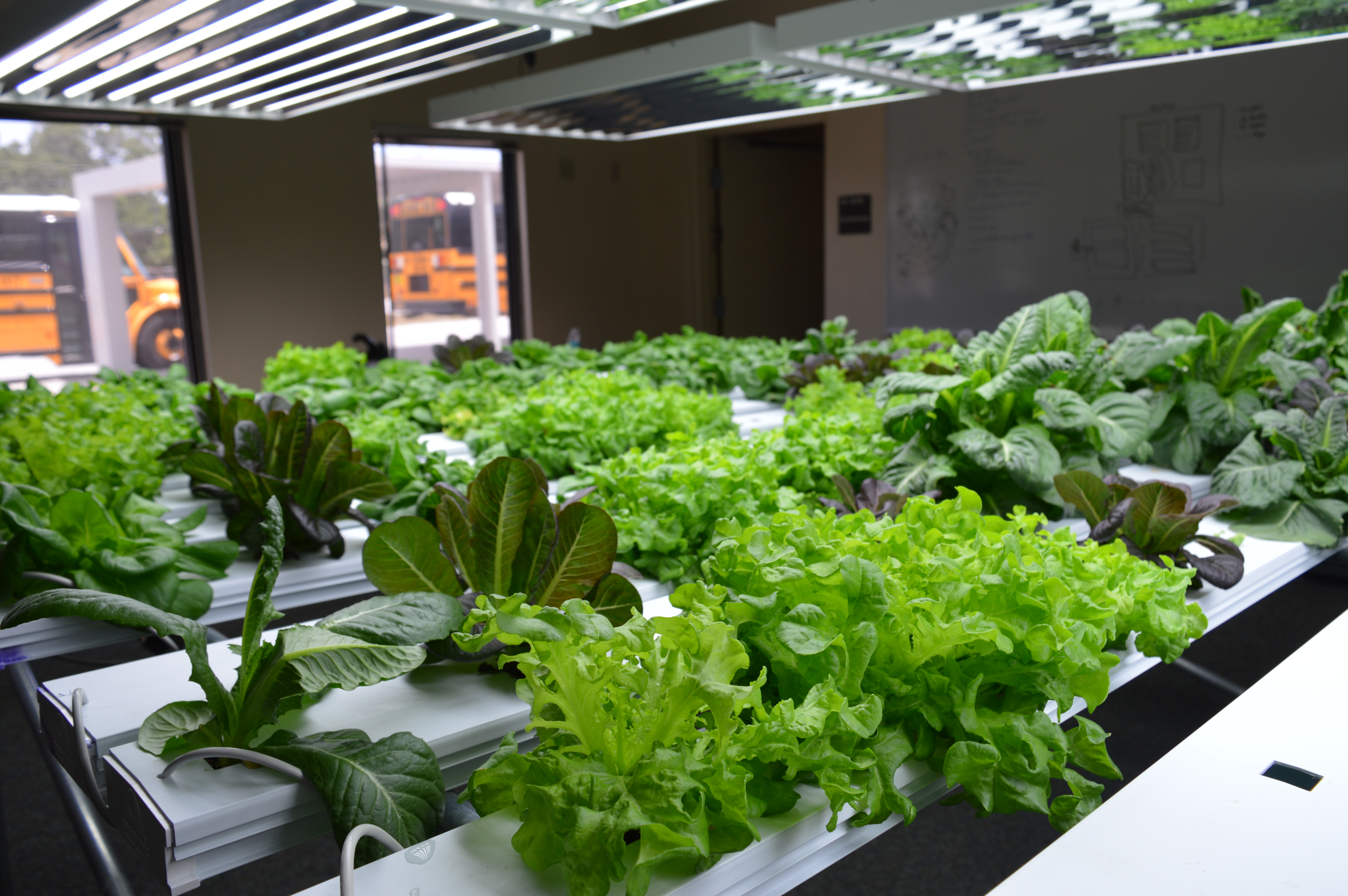 Booker Middle launches hydroponics program