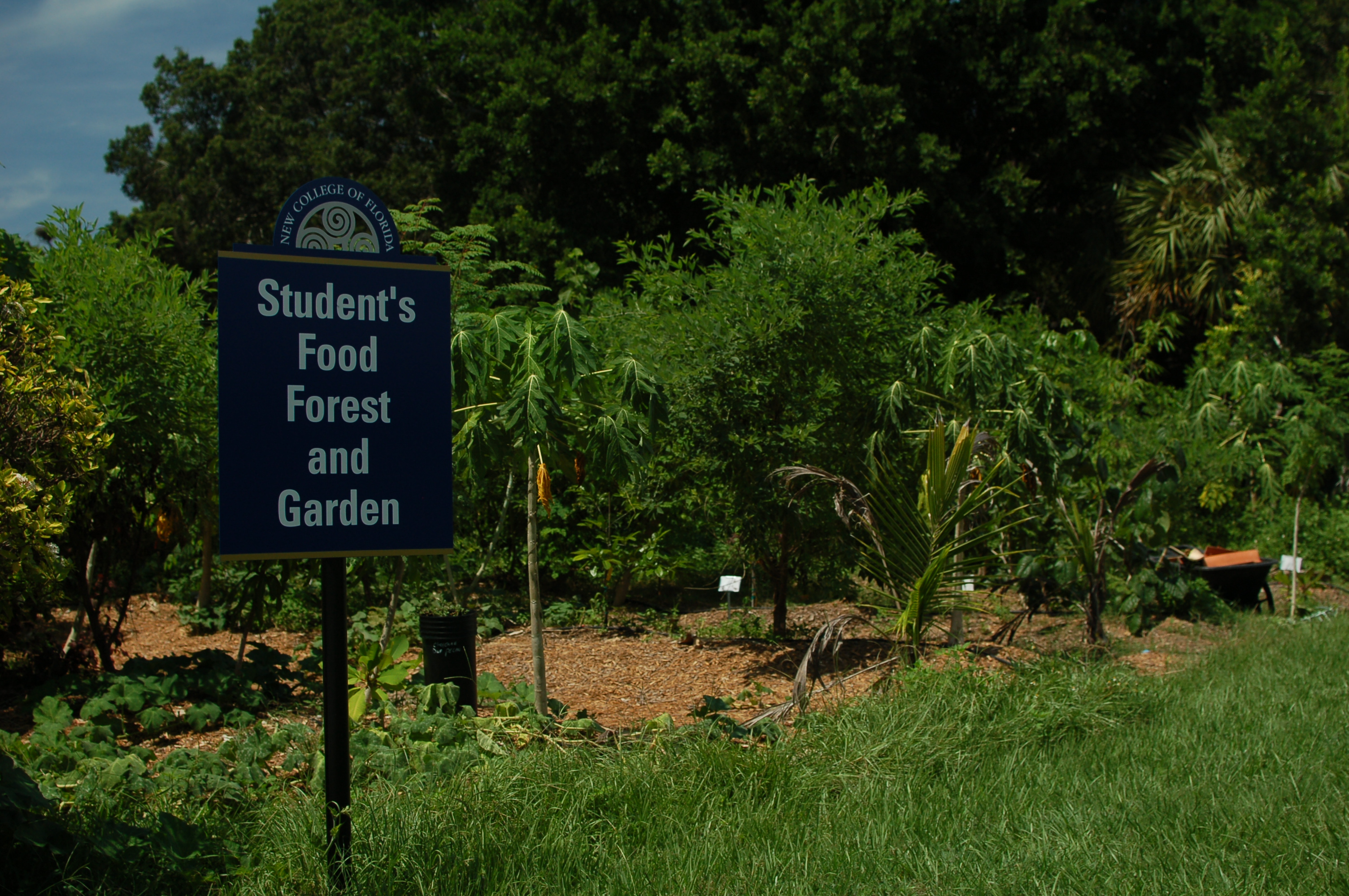 Exercise your green thumb with the Caples Food Forest and Garden Club
