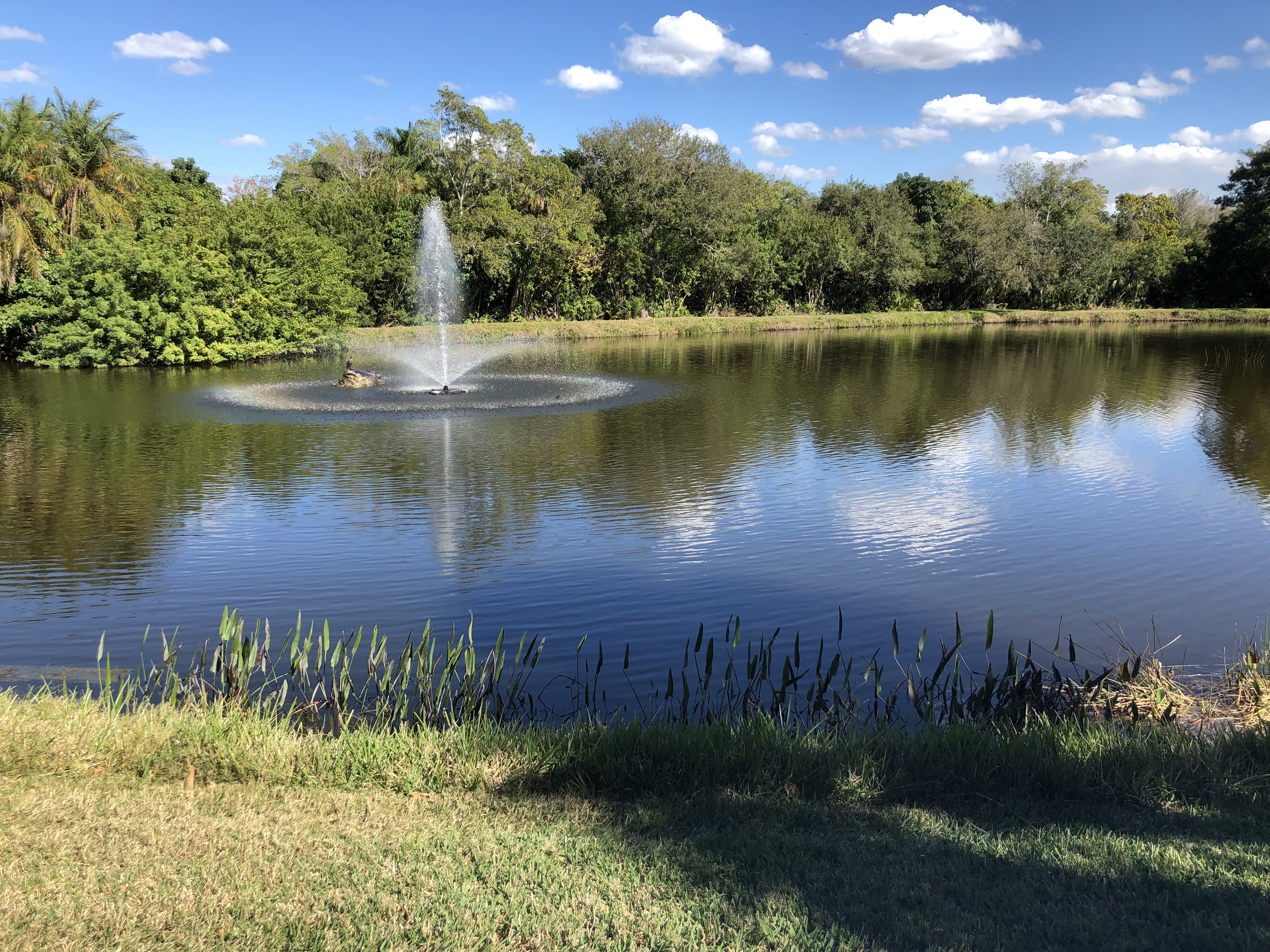 Multimodal Biological Control makes waves in Sarasota ponds