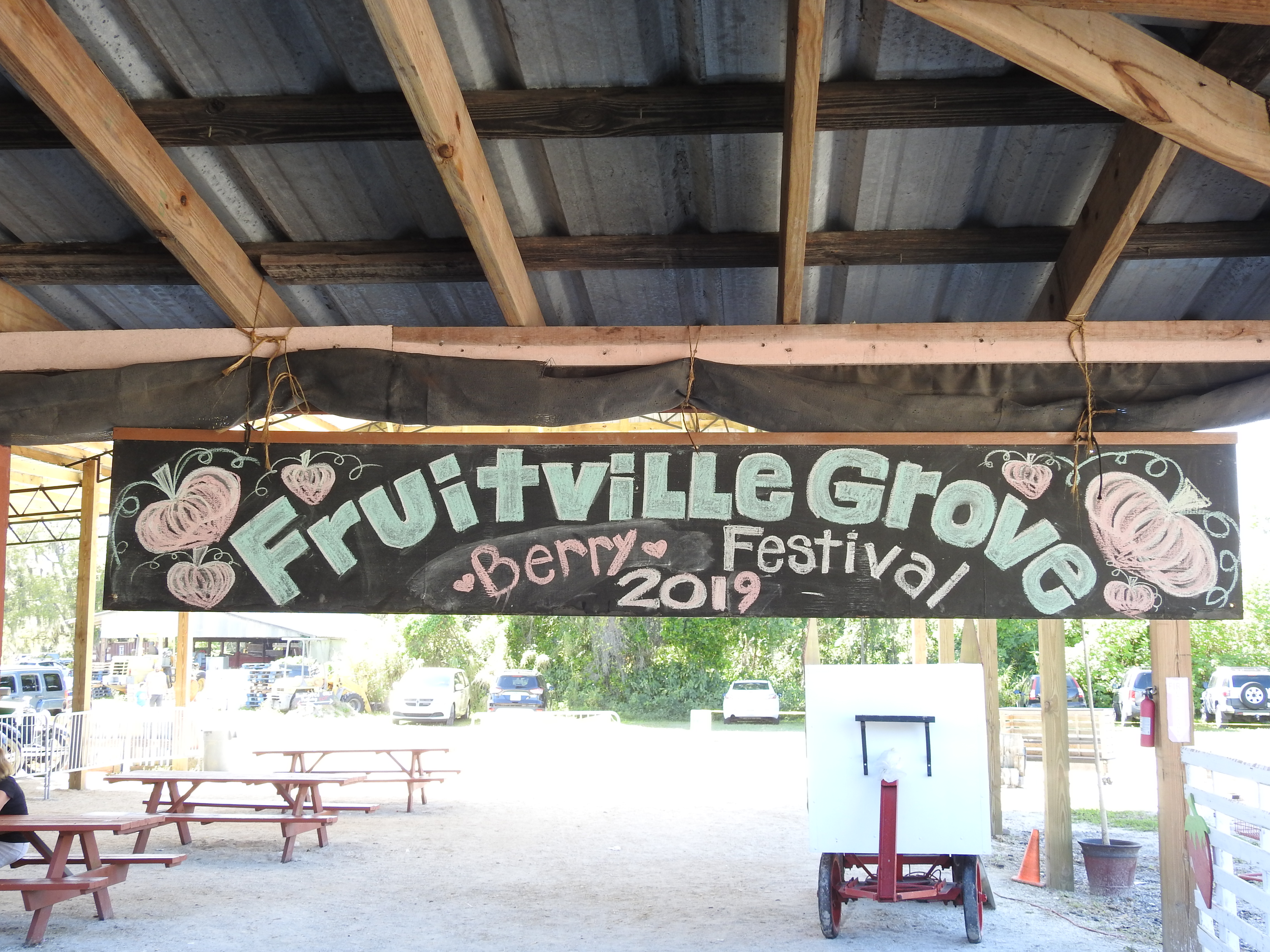 Family fun and berries galore at Fruitville Grove
