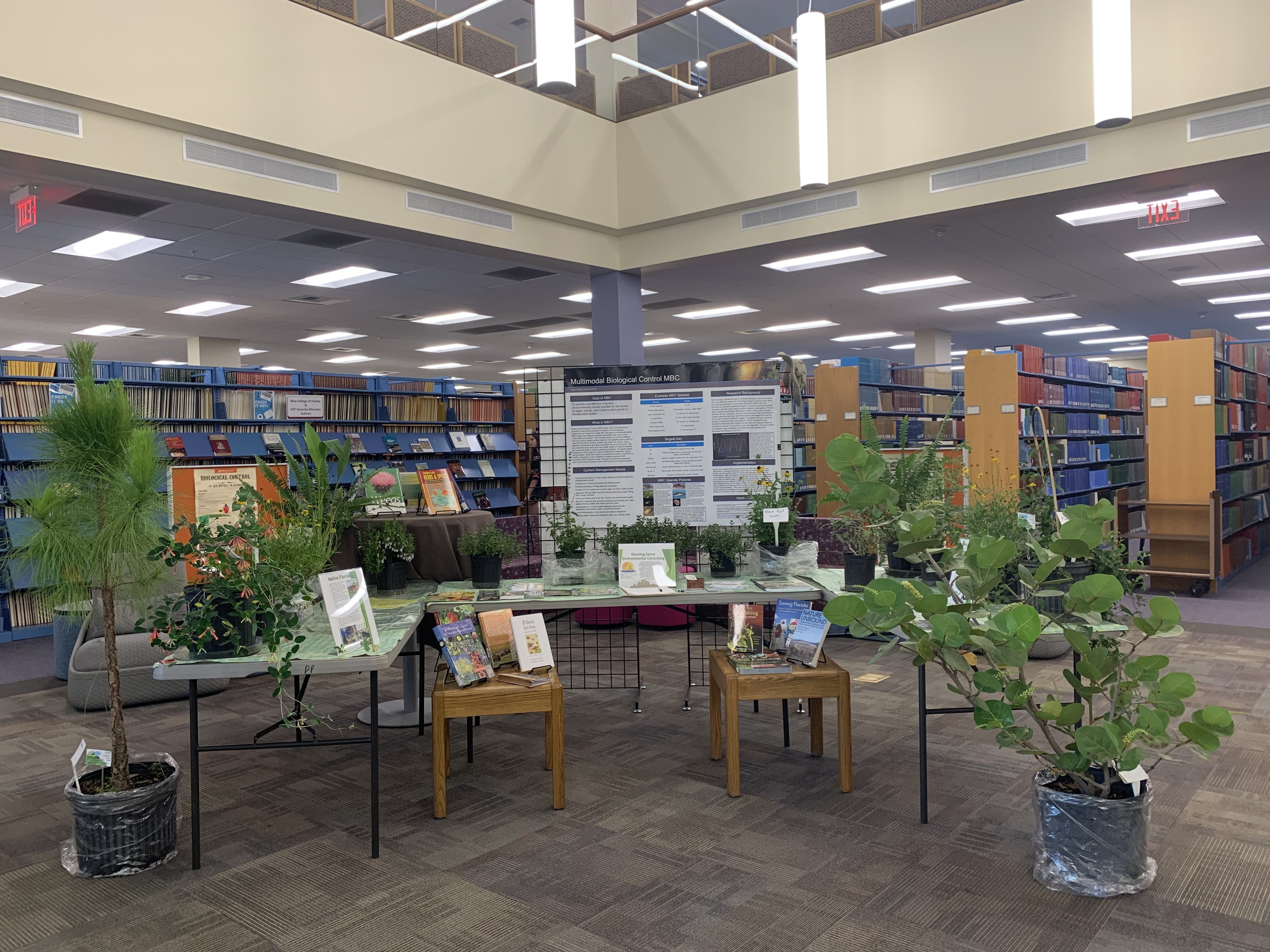 Plants and ideas growing at the Library