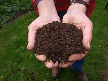 Compost Tutorial TAs work to reduce waste on campus
