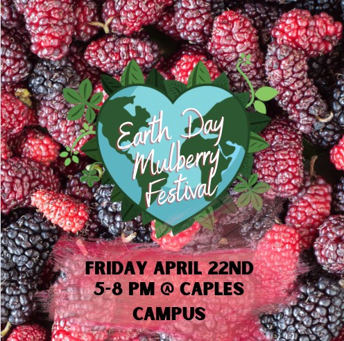 Earth Day Mulberry Festival aims to connect students with each other and the earth