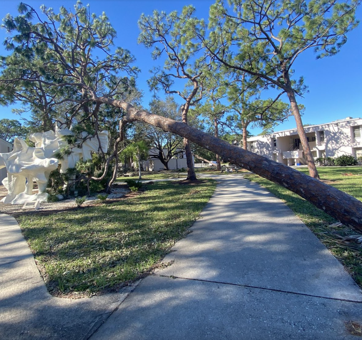 Hurricane Ian wreaks havoc on college grounds: a photo gallery